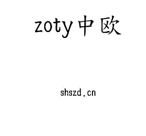 深圳市zoty中欧电子有限公司官网